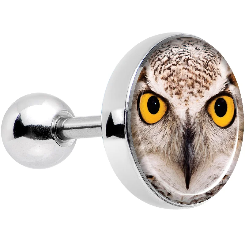 Women's Earrings – Elegant Designs for Every Personality--16 Gauge 1/4 Full Color Owl Tragus Cartilage Earring