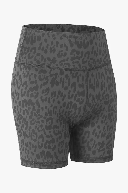 Gray Leopard